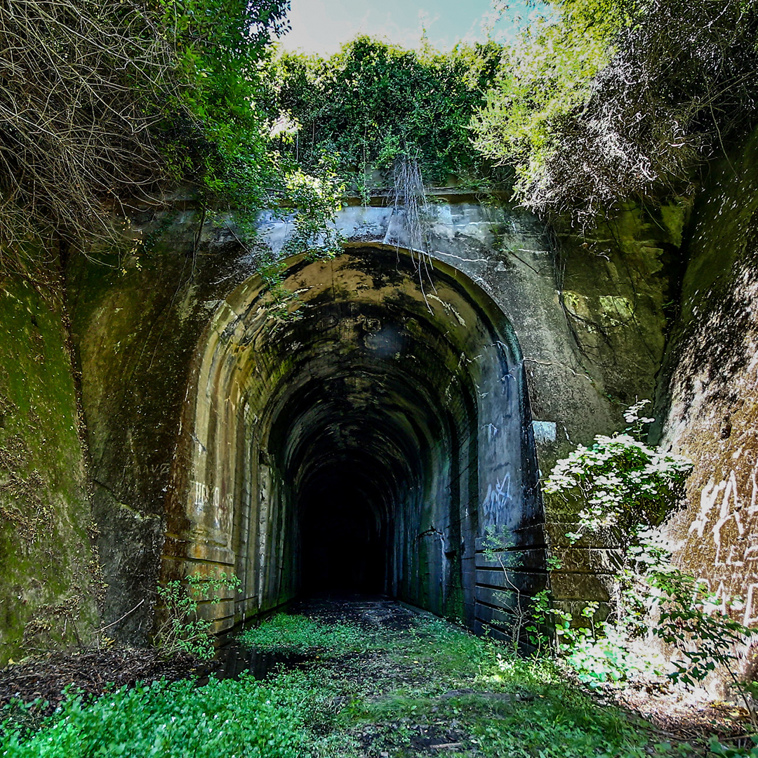 fotografía túnel de nahuelbuta