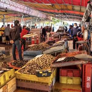 fotografía de feria y mariscos