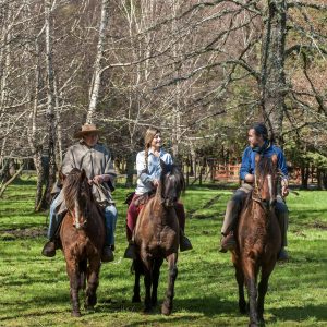 fotografía de personas realizando una cabalgata tranquila