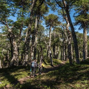 parque nacional personas caminando