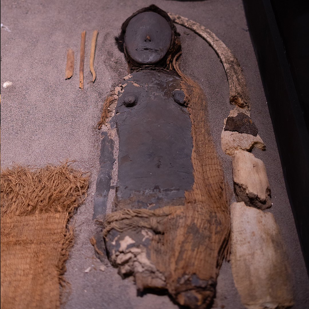fotografía de momia en vitrina de museo