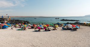 Hay Chile para las Amigas y Amigos
