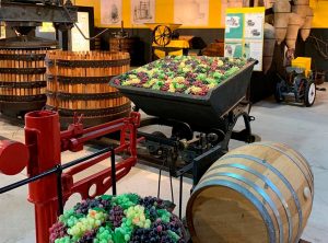 fotografía de producción de vino