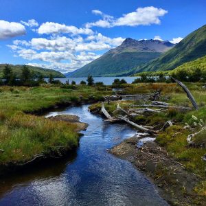 fotografía de río en la naturaleza