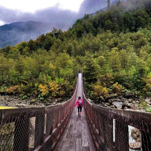 fotografía de paisaje natural y puente