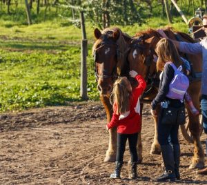 familia acariciando a caballo en viñedo