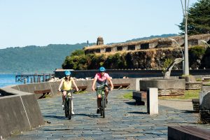 amigos recorriendo en bicicleta