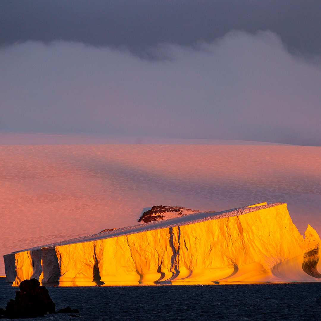Foto del Glaciar Nelson en la Antártica Chilena