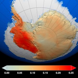 Impacto del cambio climático en biodiversidad en la Antártica