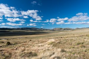 pampa-patagónica