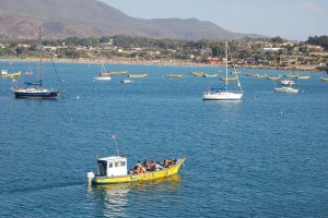 BOTES EN PICHIDANGUI