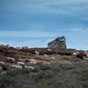 Bahía Inútil- Bloques erráticos Roca Marazzi
