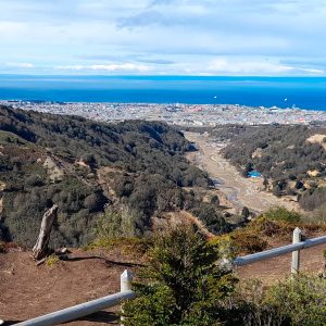 Mirador Reserva Nacional Magallanes.
