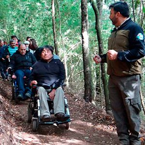 Sendero inclusivo cerro Ñielol