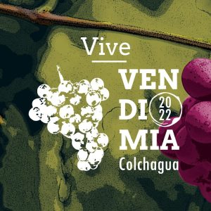 gráfica vendimia