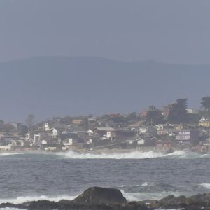 fotografía de punta de tralca