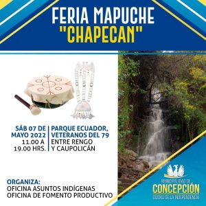 Afiche feria mapuche chapecan