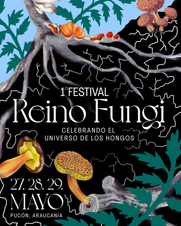 Afiche Festival Reino Fungi