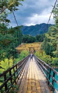 fotografía de persona en puente colgante en medio de la naturaleza