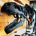 Dinosaurios más allá de la extinción en Copiapó