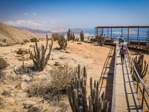 viaje Atacama