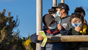 Voluntariado Chiloé