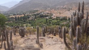 Imperdibles del Sistema Solar Coquimbo