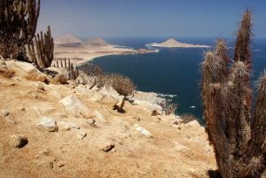 Parque Nacional Pan de Azúcar