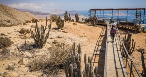 Senderos Inclusivos de Chile