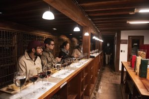 tour en viña Santa Rita