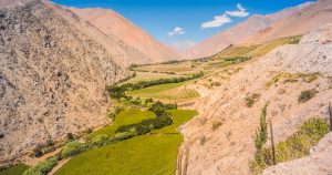 Valle del Elqui