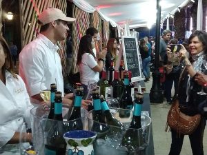 Vendimia Vichuquén 2024