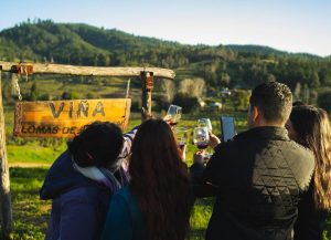 vendimia portezuelo 2024