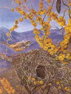 Marianne North