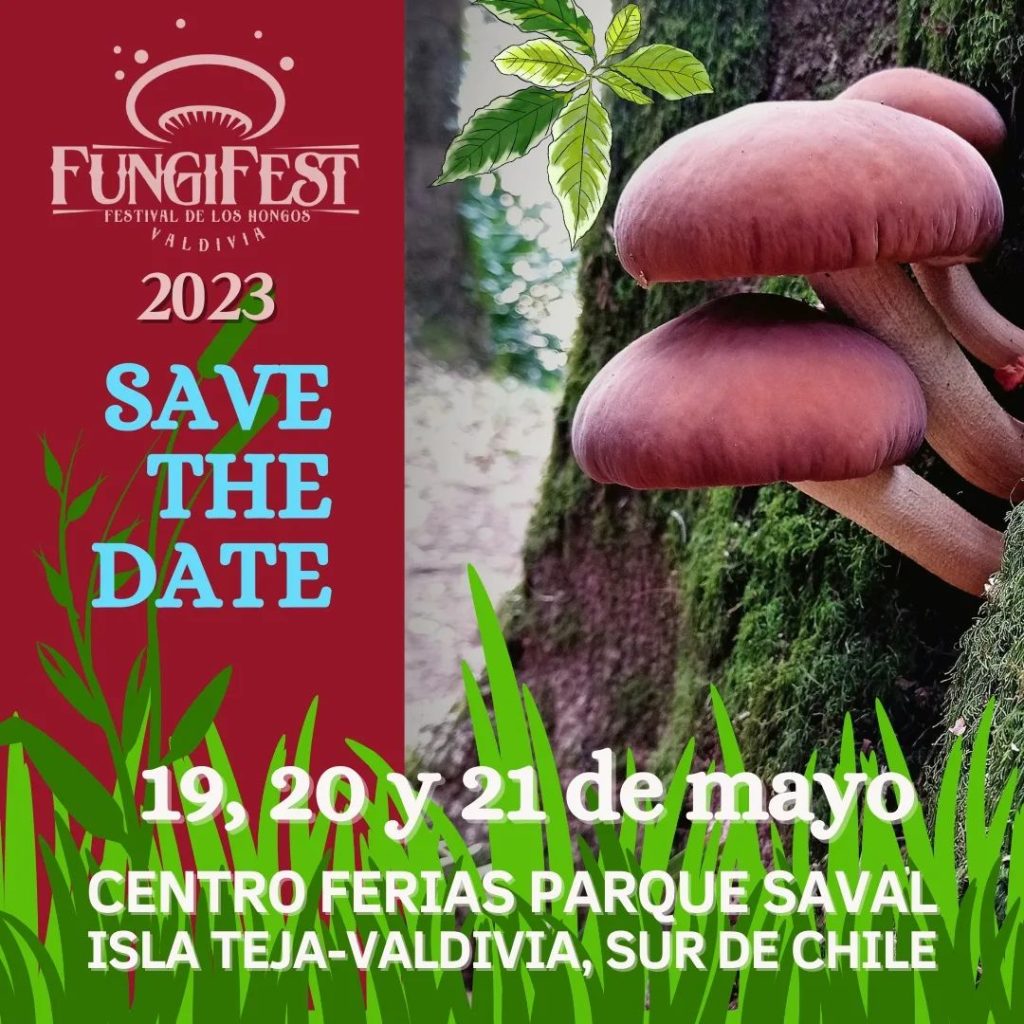 Festivales hongos Chile
