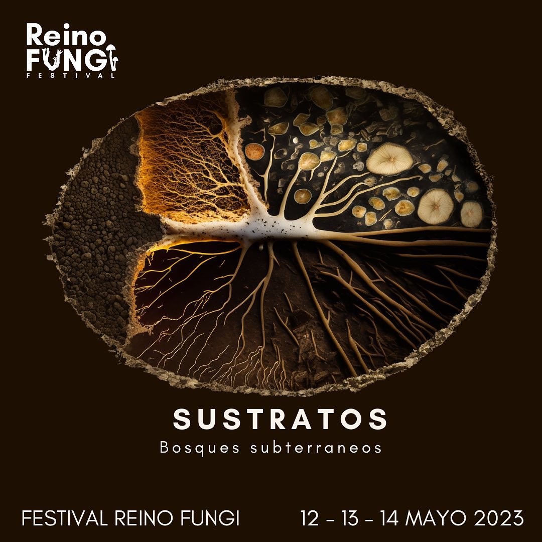 Festival Reino Fungi 2023