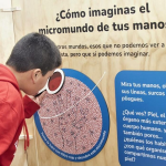 Micromundos, ciencia y arte en tus manos en Valparaíso