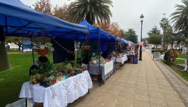 Expo Turismo Provincial en Chimbarongo