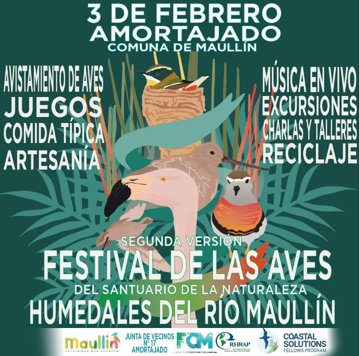 Festival Aves Río Maullín
