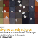 Universo en seis colores: Atlas de los tintes naturales del Wallmapu