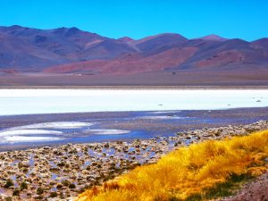 actividades Región de Atacama