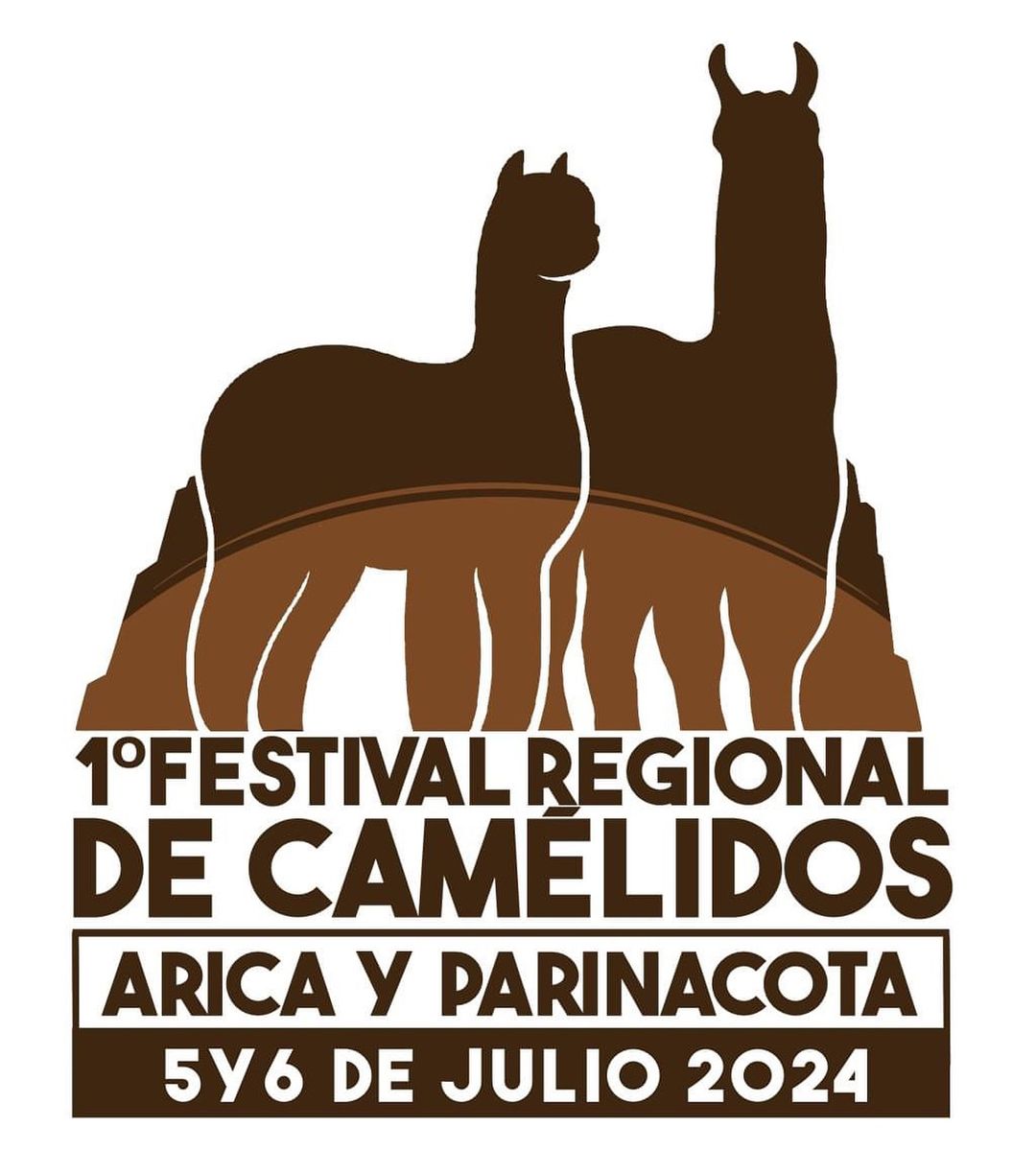 Festival de Camélidos