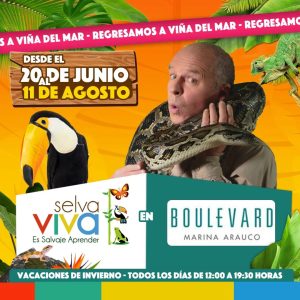 Día del Niño Valparaíso