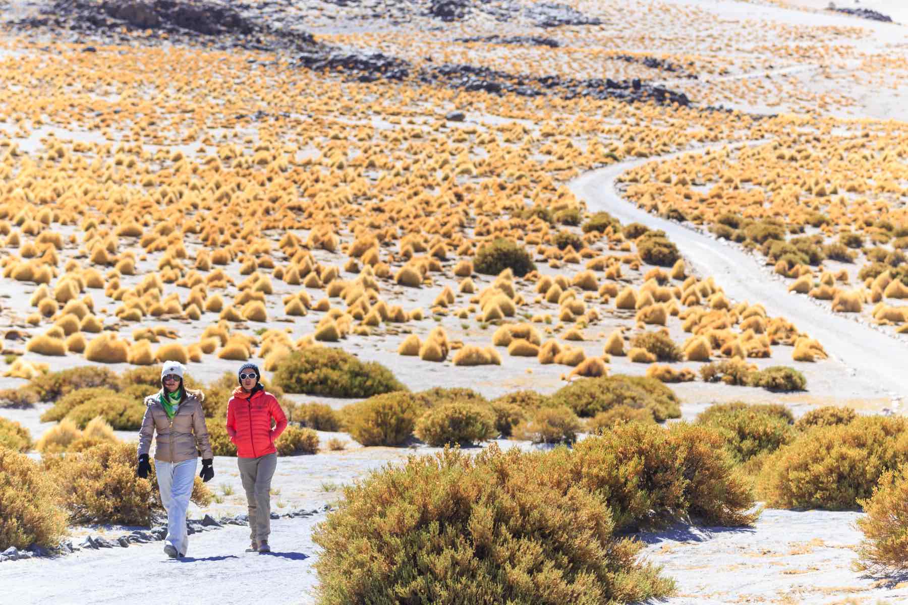 La Estrategia Nacional de Turismo Sostenible 2035 apunta a que el turismo siga siendo una actividad esencial para Chile. 