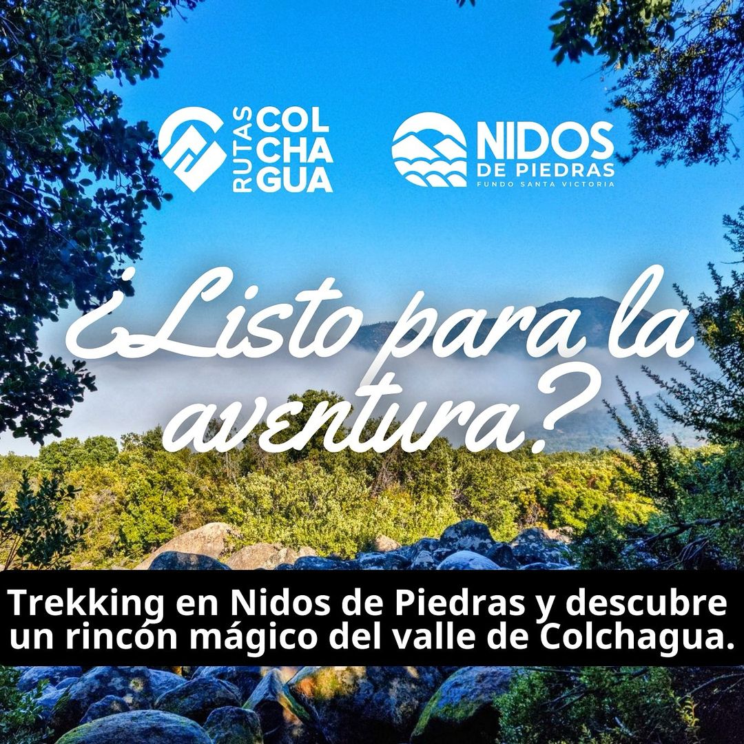 Nidos de Piedras