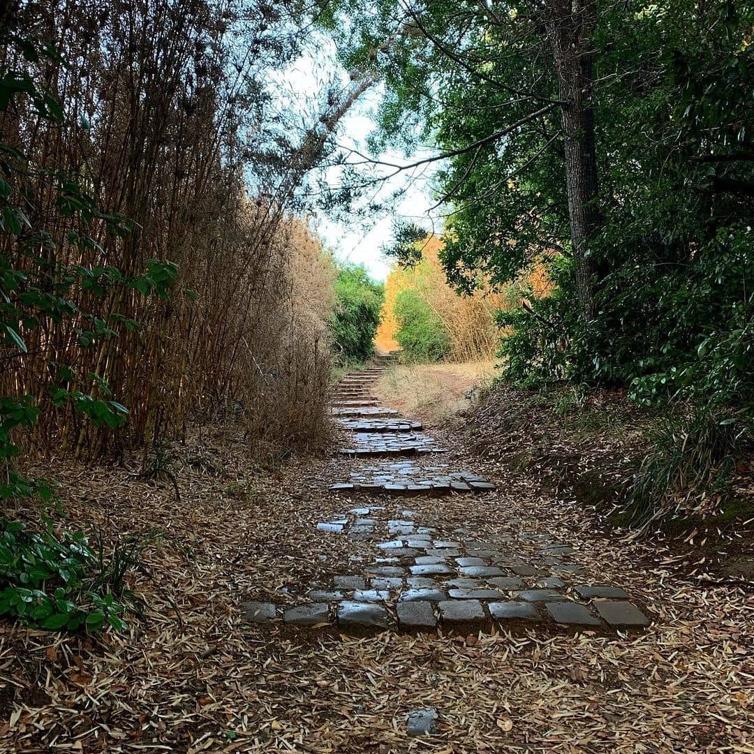 Sendero Cerro Ñielol