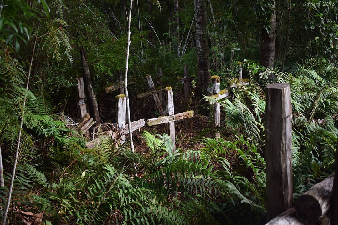 Lugares embrujados de Chile, isla de los muertos