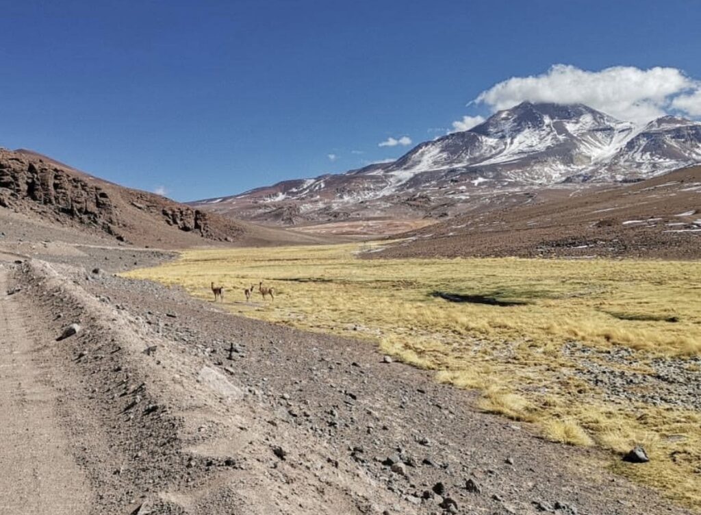 montañas de Chile