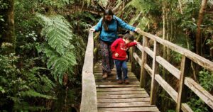 trekking Valdivia