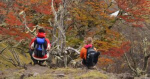 lugares otoño en Chile